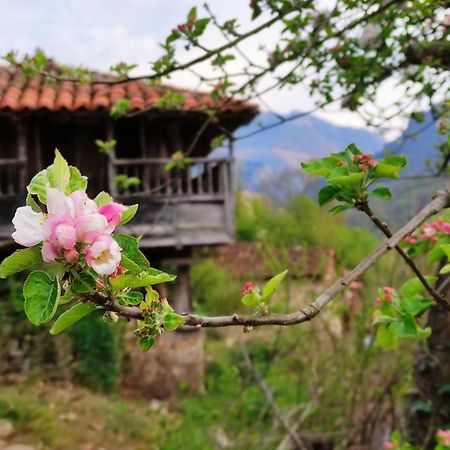 Вілла Casa La Parra Villar de Vildas Екстер'єр фото